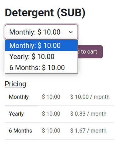 Abonnement-Produkt auf der E-Commerce-Website