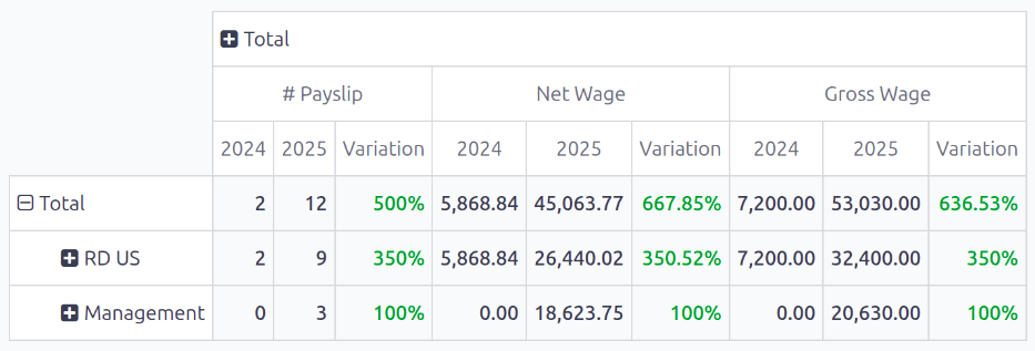 Pivot table व्यू दो साल के डेटा की तुलना कर रहा है।
