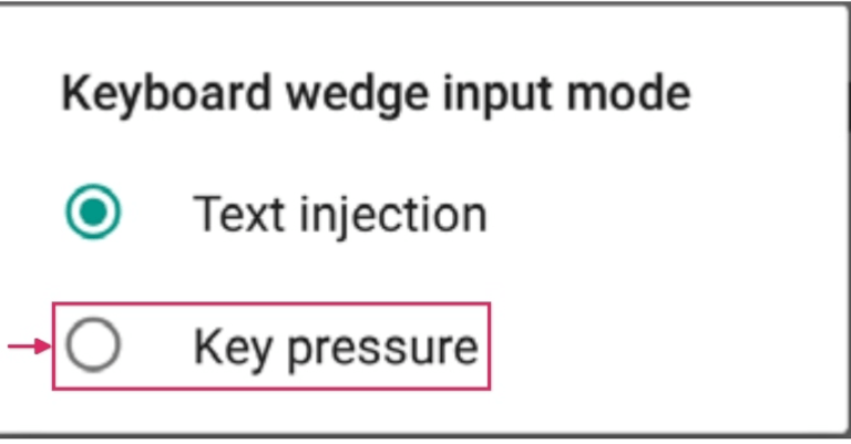 Datalogic स्कैनर पर Keyboard wedge input mode का चयन।