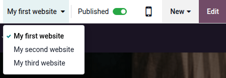 Selecting a website on the frontend
